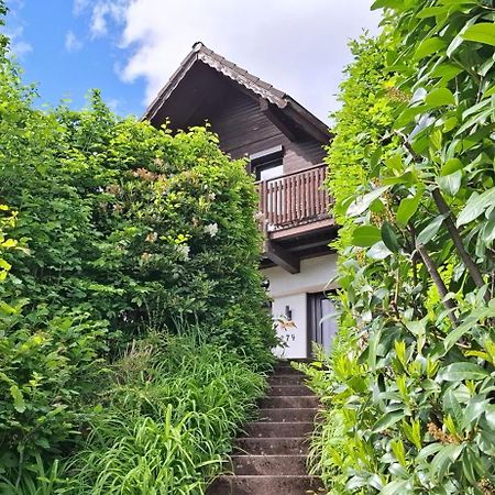 Odenwald Lounge Villa Reichelsheim Exterior foto