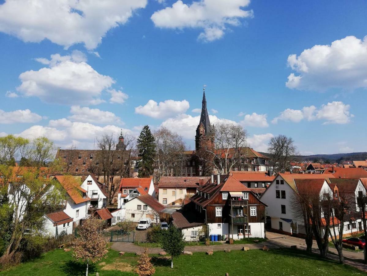 Odenwald Lounge Villa Reichelsheim Exterior foto